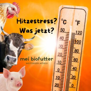 Hitzestress: Wenn Tiere ins Schwitzen kommen